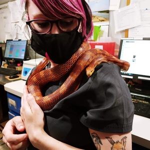 Meet your Posher, Tina